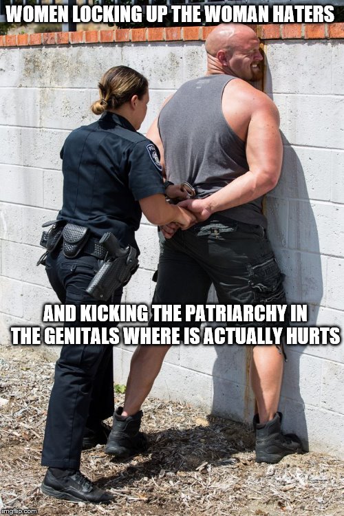 Police Woman | WOMEN LOCKING UP THE WOMAN HATERS; AND KICKING THE PATRIARCHY IN THE GENITALS WHERE IS ACTUALLY HURTS | image tagged in police woman | made w/ Imgflip meme maker