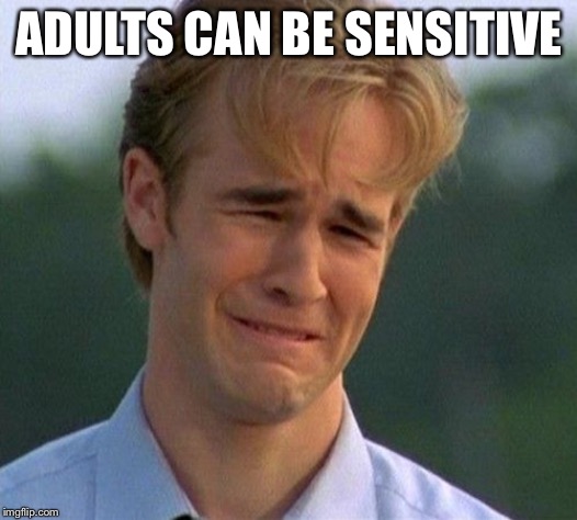 1990s First World Problems Meme | ADULTS CAN BE SENSITIVE | image tagged in memes,1990s first world problems | made w/ Imgflip meme maker