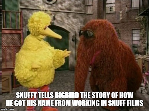 How snuffy got his name |  SNUFFY TELLS BIGBIRD THE STORY OF HOW HE GOT HIS NAME FROM WORKING IN SNUFF FILMS | image tagged in memes,big bird and snuffy,inappropriate | made w/ Imgflip meme maker