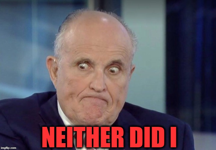 Rudy guliani | NEITHER DID I | image tagged in rudy guliani | made w/ Imgflip meme maker