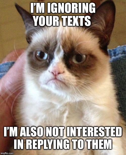 Grumpy Cat Meme | I’M IGNORING YOUR TEXTS I’M ALSO NOT INTERESTED IN REPLYING TO THEM | image tagged in memes,grumpy cat | made w/ Imgflip meme maker