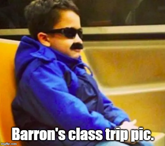 Who? Never Heard Of The Guy! | Barron's class trip pic. | image tagged in barron,diguise | made w/ Imgflip meme maker