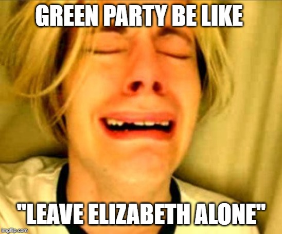 Leave Britney Alone | GREEN PARTY BE LIKE; "LEAVE ELIZABETH ALONE" | image tagged in leave britney alone | made w/ Imgflip meme maker