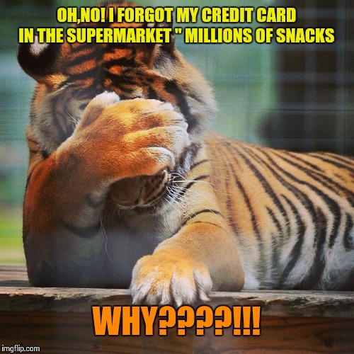 Facepalm Tiger | OH,NO! I FORGOT MY CREDIT CARD IN THE SUPERMARKET " MILLIONS OF SNACKS; WHY????!!! | image tagged in facepalm tiger | made w/ Imgflip meme maker