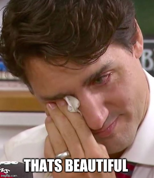 Justin Trudeau Crying | THATS BEAUTIFUL | image tagged in justin trudeau crying | made w/ Imgflip meme maker