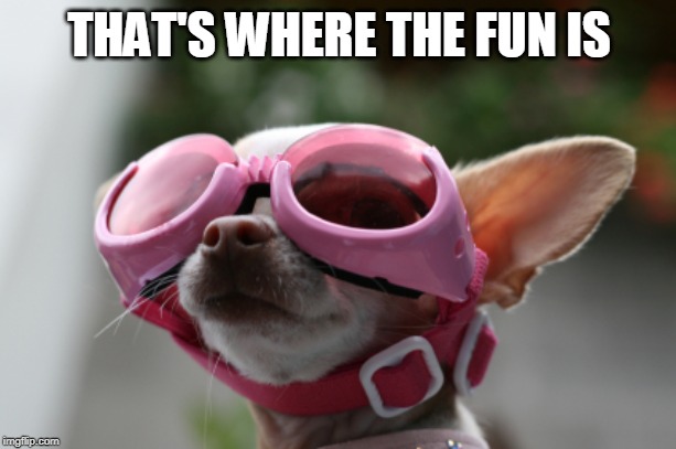 THAT'S WHERE THE FUN IS | made w/ Imgflip meme maker