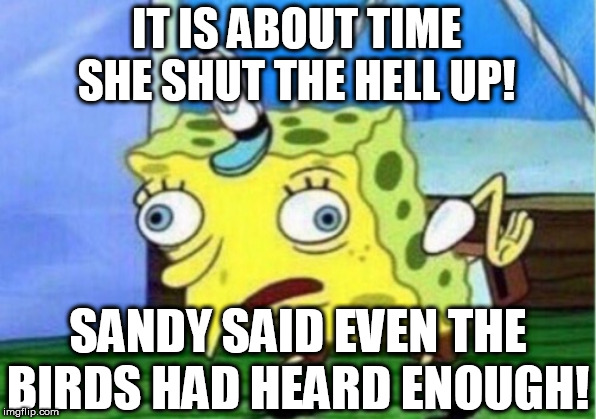 Mocking Spongebob Meme | IT IS ABOUT TIME SHE SHUT THE HELL UP! SANDY SAID EVEN THE BIRDS HAD HEARD ENOUGH! | image tagged in memes,mocking spongebob | made w/ Imgflip meme maker