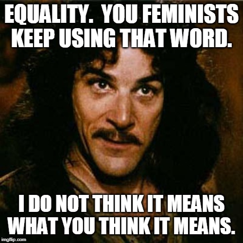 Inigo Montoya | EQUALITY.  YOU FEMINISTS KEEP USING THAT WORD. I DO NOT THINK IT MEANS WHAT YOU THINK IT MEANS. | image tagged in inigo montoya,memes,anti-feminism,feminism is cancer,definition | made w/ Imgflip meme maker