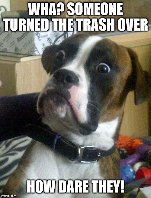 Blankie the confused shocked Dog | WHA? SOMEONE TURNED THE TRASH OVER; HOW DARE THEY! | image tagged in blankie the shocked dog,blankie the confused shocked dog,memes,funny memes | made w/ Imgflip meme maker
