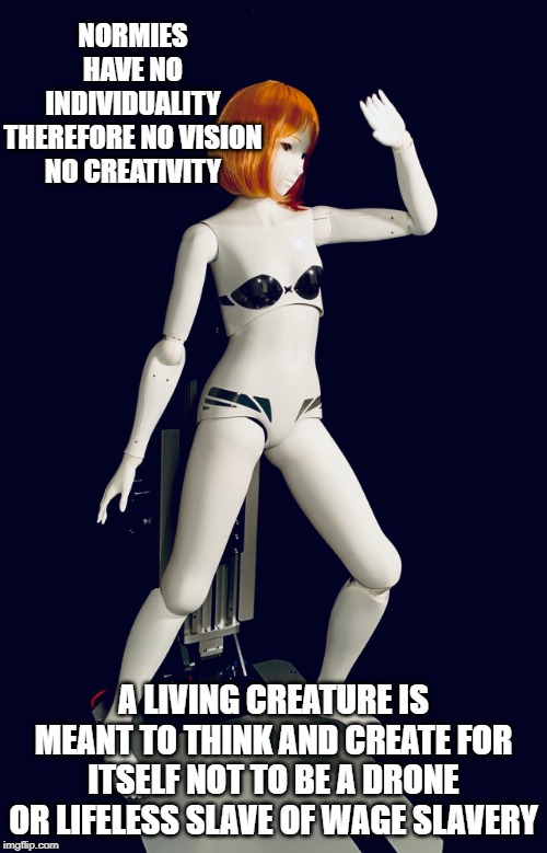 Normies Flaws | NORMIES HAVE NO INDIVIDUALITY THEREFORE NO VISION NO CREATIVITY; A LIVING CREATURE IS MEANT TO THINK AND CREATE FOR ITSELF NOT TO BE A DRONE OR LIFELESS SLAVE OF WAGE SLAVERY | image tagged in normies,flawless,waifu,robots,creativity | made w/ Imgflip meme maker