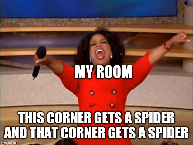Oprah You Get A Meme | MY ROOM; THIS CORNER GETS A SPIDER AND THAT CORNER GETS A SPIDER | image tagged in memes,oprah you get a,spiders,relatable,omg,dying | made w/ Imgflip meme maker