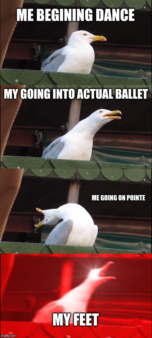 Inhaling Seagull Meme | ME BEGINING DANCE; MY GOING INTO ACTUAL BALLET; ME GOING ON POINTE; MY FEET | image tagged in memes,inhaling seagull,ballet,dance,feet,dancer problems | made w/ Imgflip meme maker