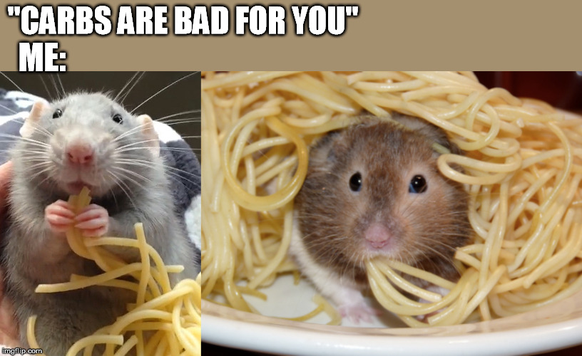 ''CARBS ARE BAD FOR YOU'' ME: | made w/ Imgflip meme maker