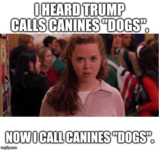 Mean Girls Army Pants | I HEARD TRUMP CALLS CANINES "DOGS", NOW I CALL CANINES "DOGS". | image tagged in mean girls army pants | made w/ Imgflip meme maker