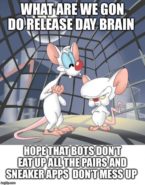 Pinky and the brain | WHAT ARE WE GON DO RELEASE DAY BRAIN; HOPE THAT BOTS DON’T EAT UP ALL THE PAIRS AND SNEAKER APPS  DON’T MESS UP | image tagged in pinky and the brain | made w/ Imgflip meme maker