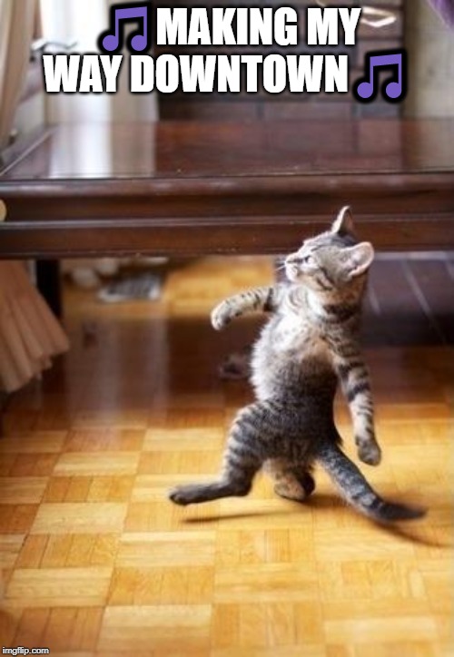 Strolling away | 🎵MAKING MY WAY DOWNTOWN🎵 | image tagged in memes,cool cat stroll,funny cats,cute cats,funny memes,upvote | made w/ Imgflip meme maker
