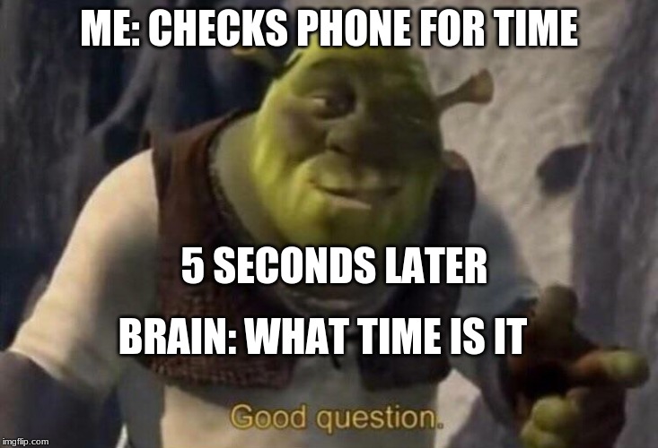 Shrek good question | ME: CHECKS PHONE FOR TIME; 5 SECONDS LATER; BRAIN: WHAT TIME IS IT | image tagged in shrek good question | made w/ Imgflip meme maker