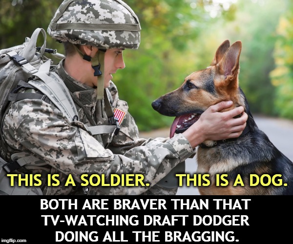 Military and intelligence officials are cringing at the classified and sensitive info Trump gave away on TV. Leaker-in-Chief! | BOTH ARE BRAVER THAN THAT 
TV-WATCHING DRAFT DODGER 
DOING ALL THE BRAGGING. THIS IS A SOLDIER.     THIS IS A DOG. | image tagged in trump,draft dodger,soldier,dog,special forces,military | made w/ Imgflip meme maker