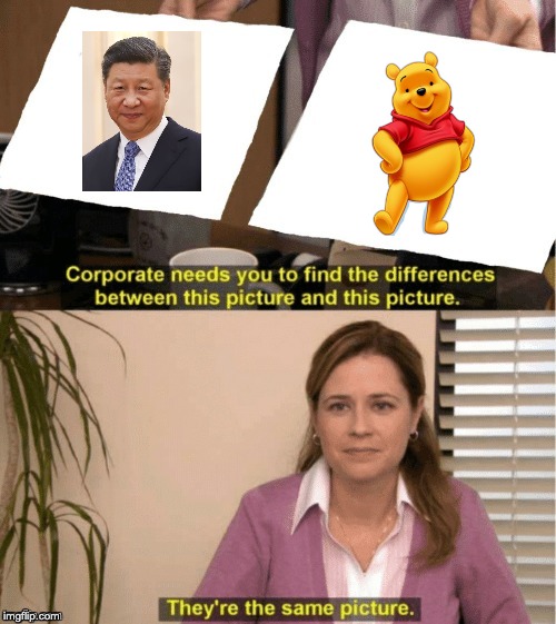 They're The Same Picture Meme | image tagged in office same picture,china,winnie the pooh | made w/ Imgflip meme maker