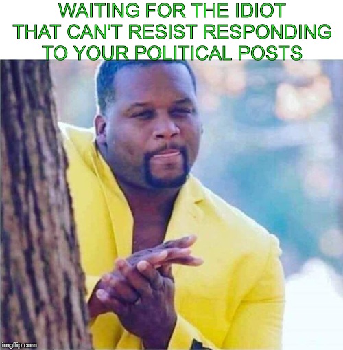 How I picture my friends with their controversial posts | WAITING FOR THE IDIOT THAT CAN'T RESIST RESPONDING TO YOUR POLITICAL POSTS | image tagged in excited can't wait | made w/ Imgflip meme maker