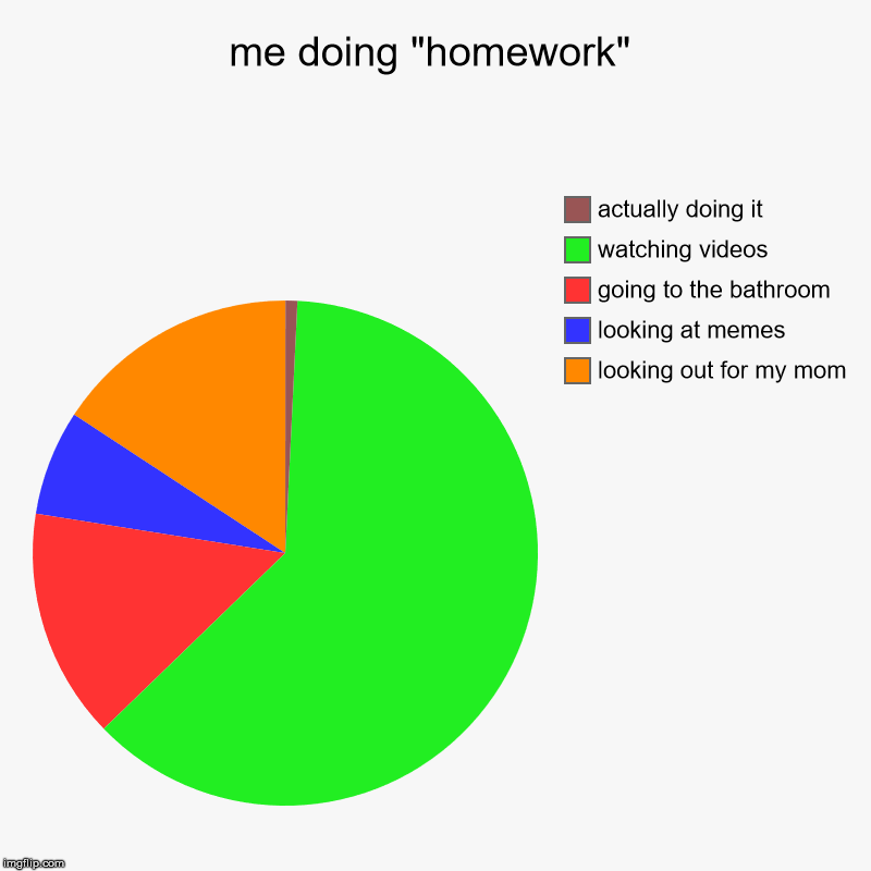 me doing "homework" | looking out for my mom, looking at memes, going to the bathroom, watching videos, actually doing it | image tagged in charts,pie charts | made w/ Imgflip chart maker