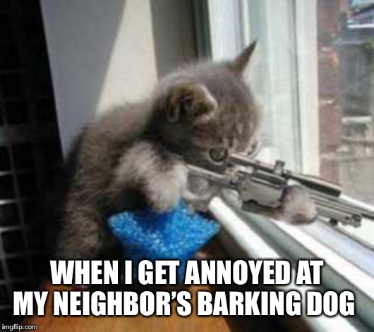 CatSniper | WHEN I GET ANNOYED AT MY NEIGHBOR’S BARKING DOG | image tagged in catsniper | made w/ Imgflip meme maker