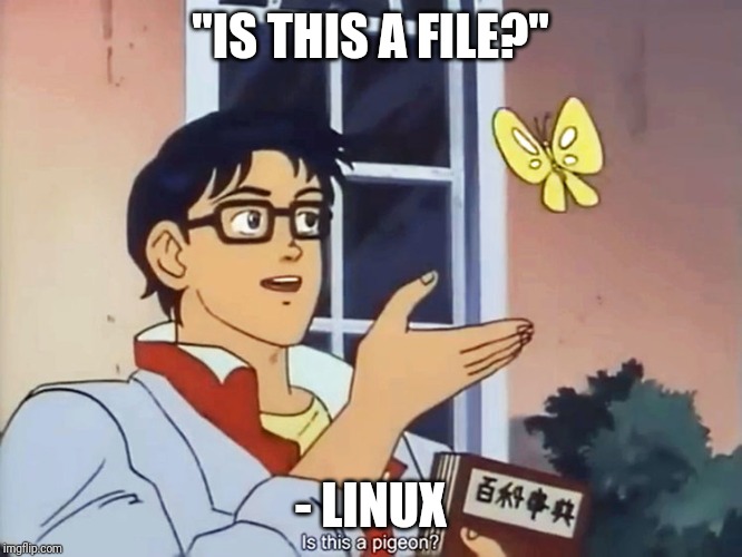 ANIME BUTTERFLY MEME | "IS THIS A FILE?"; - LINUX | image tagged in anime butterfly meme | made w/ Imgflip meme maker