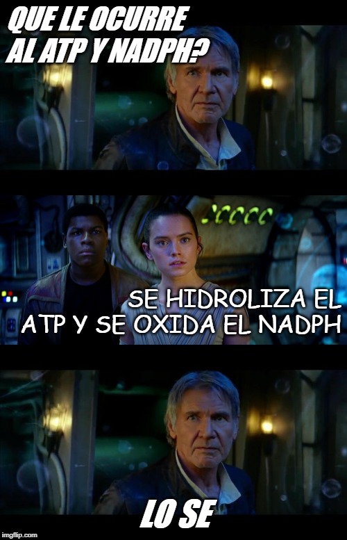 It's True All of It Han Solo | QUE LE OCURRE AL ATP Y NADPH? SE HIDROLIZA EL ATP Y SE OXIDA EL NADPH; LO SE | image tagged in memes,it's true all of it han solo | made w/ Imgflip meme maker