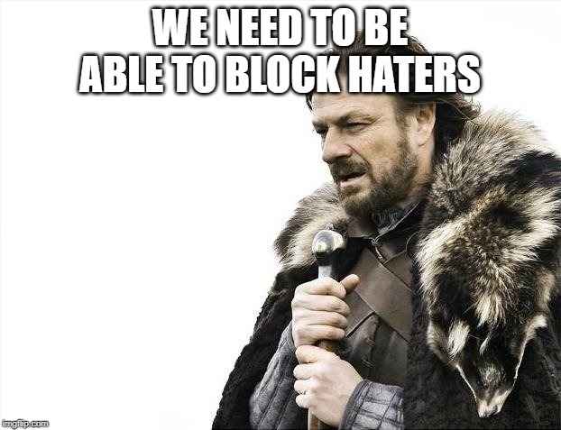 there are alot of haters i think it will be a good idea to to block them so you won't see their comments or memes | WE NEED TO BE ABLE TO BLOCK HATERS | image tagged in memes,brace yourselves x is coming,blocked | made w/ Imgflip meme maker