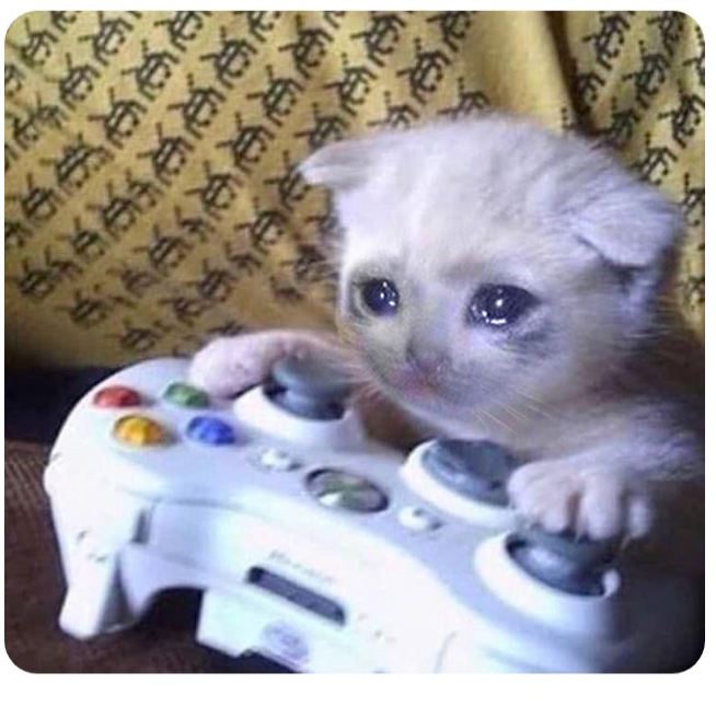 Sad cat Xbox Blank Meme Template