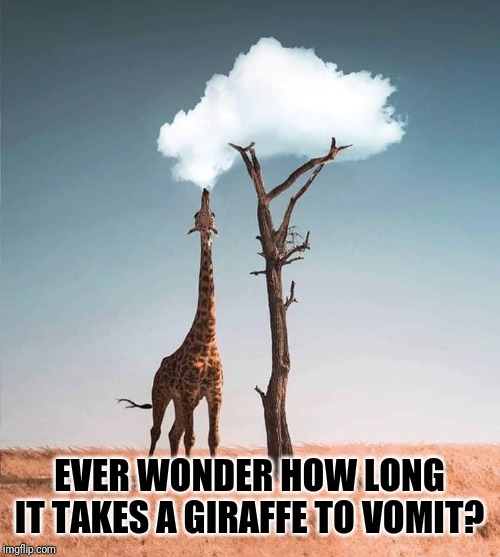 Blowing chunks. | EVER WONDER HOW LONG IT TAKES A GIRAFFE TO VOMIT? | image tagged in giraffe,funny giraffe,puke,vomit,funny meme,thinking | made w/ Imgflip meme maker