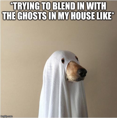 Ghost Doge | *TRYING TO BLEND IN WITH THE GHOSTS IN MY HOUSE LIKE* | image tagged in ghost doge | made w/ Imgflip meme maker
