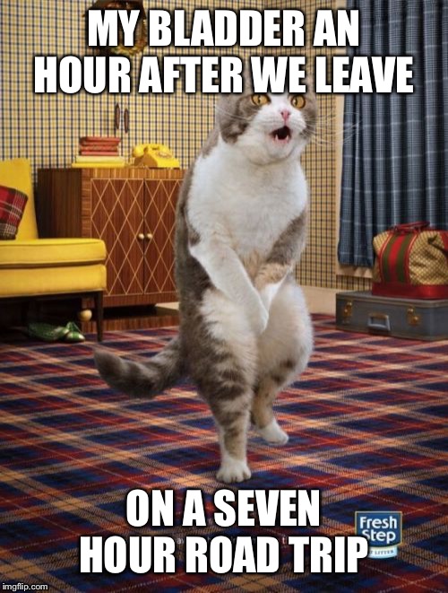 Should’ve gone earlier.... |  MY BLADDER AN HOUR AFTER WE LEAVE; ON A SEVEN HOUR ROAD TRIP | image tagged in memes,gotta go cat | made w/ Imgflip meme maker