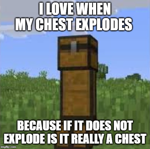 my favorite chest | I LOVE WHEN MY CHEST EXPLODES; BECAUSE IF IT DOES NOT EXPLODE IS IT REALLY A CHEST | image tagged in minecraft | made w/ Imgflip meme maker