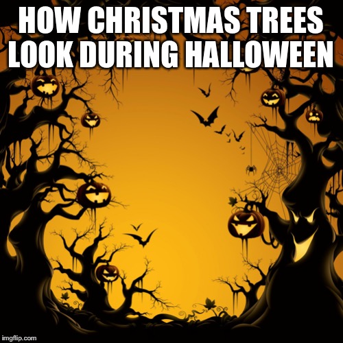 Halloween  | HOW CHRISTMAS TREES LOOK DURING HALLOWEEN | image tagged in halloween | made w/ Imgflip meme maker