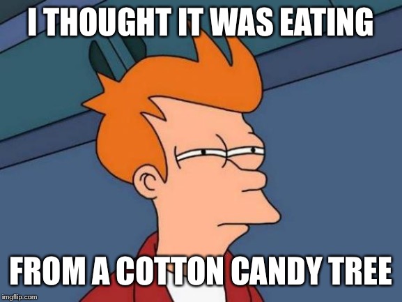 Futurama Fry Meme | I THOUGHT IT WAS EATING FROM A COTTON CANDY TREE | image tagged in memes,futurama fry | made w/ Imgflip meme maker