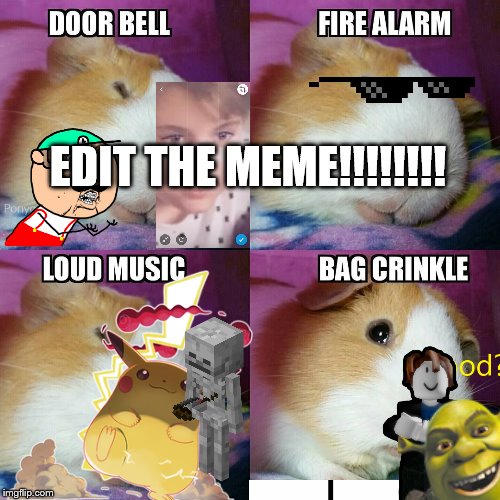 edit the meme | EDIT THE MEME!!!!!!!! | image tagged in edit the meme | made w/ Imgflip meme maker