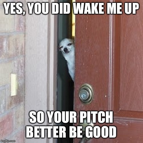Suspicious Chihuahua | YES, YOU DID WAKE ME UP SO YOUR PITCH BETTER BE GOOD | image tagged in suspicious chihuahua | made w/ Imgflip meme maker