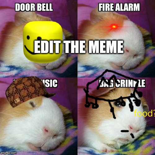 edit the meme | EDIT THE MEME | image tagged in edit the meme | made w/ Imgflip meme maker