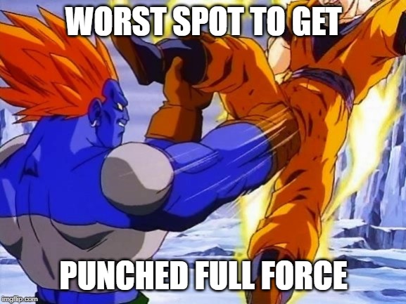 DBZ ANDRIOD 13 PUNCHES GOKU IN DA BALLZ | WORST SPOT TO GET; PUNCHED FULL FORCE | image tagged in dbz andriod 13 punches goku in da ballz | made w/ Imgflip meme maker