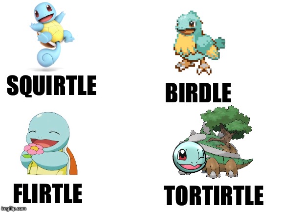 Blank White Template | SQUIRTLE; BIRDLE; FLIRTLE; TORTIRTLE | image tagged in blank white template | made w/ Imgflip meme maker