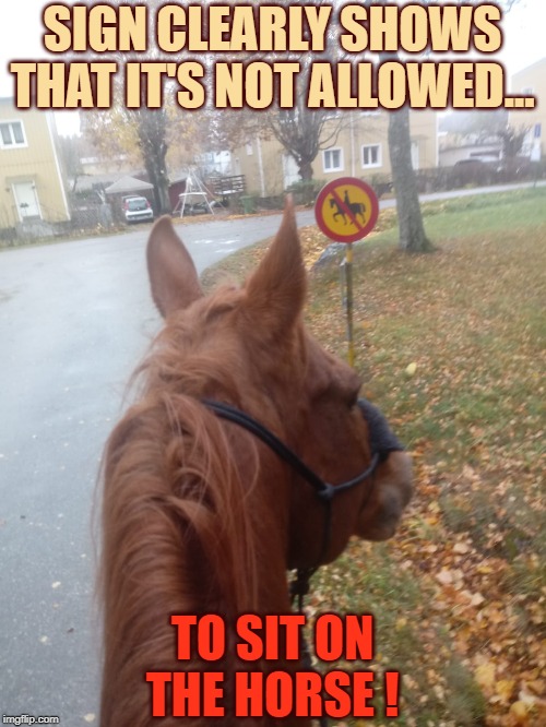 The Horse and the Sign | SIGN CLEARLY SHOWS THAT IT'S NOT ALLOWED... TO SIT ON THE HORSE ! | image tagged in horse,sign,obvious | made w/ Imgflip meme maker