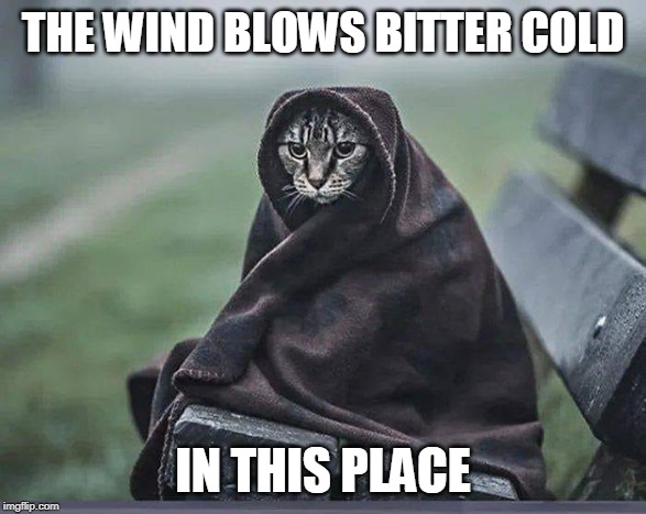 KHAJIIT IN THE COLD | THE WIND BLOWS BITTER COLD; IN THIS PLACE | image tagged in khajiit,skyrim | made w/ Imgflip meme maker