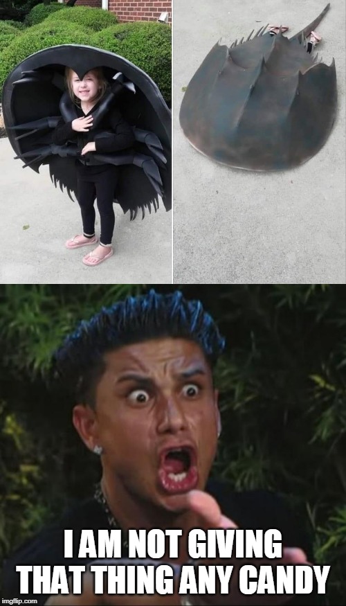 HORSESHOE CRAB | I AM NOT GIVING THAT THING ANY CANDY | image tagged in memes,dj pauly d,costume,trick or treat | made w/ Imgflip meme maker