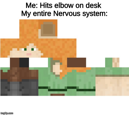 Oof | Me: Hits elbow on desk 
My entire Nervous system: | image tagged in memes,funny memes,fun,meme,funny meme | made w/ Imgflip meme maker