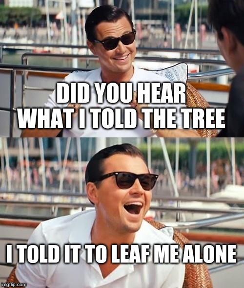 Leonardo Dicaprio Wolf Of Wall Street | DID YOU HEAR WHAT I TOLD THE TREE; I TOLD IT TO LEAF ME ALONE | image tagged in memes,leonardo dicaprio wolf of wall street | made w/ Imgflip meme maker