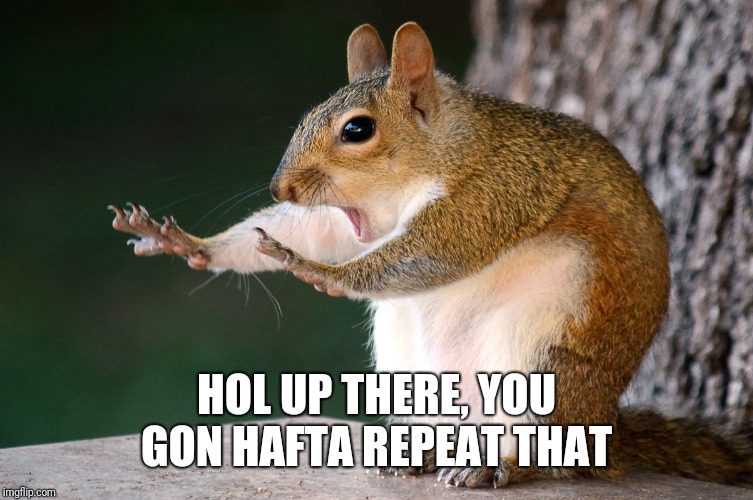 Whoa now Squirrel | HOL UP THERE, YOU GON HAFTA REPEAT THAT | image tagged in whoa now squirrel | made w/ Imgflip meme maker