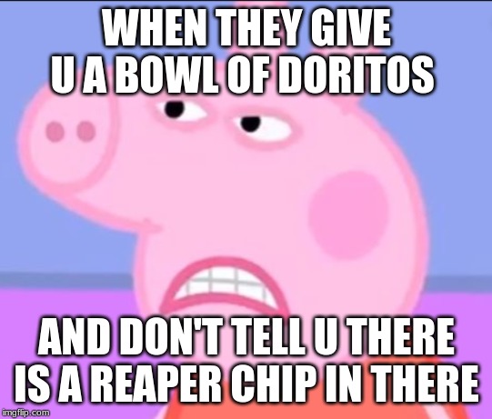 LOL | WHEN THEY GIVE U A BOWL OF DORITOS; AND DON'T TELL U THERE IS A REAPER CHIP IN THERE | image tagged in spice | made w/ Imgflip meme maker