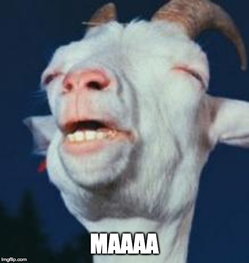 goat | MAAAA | image tagged in goat | made w/ Imgflip meme maker