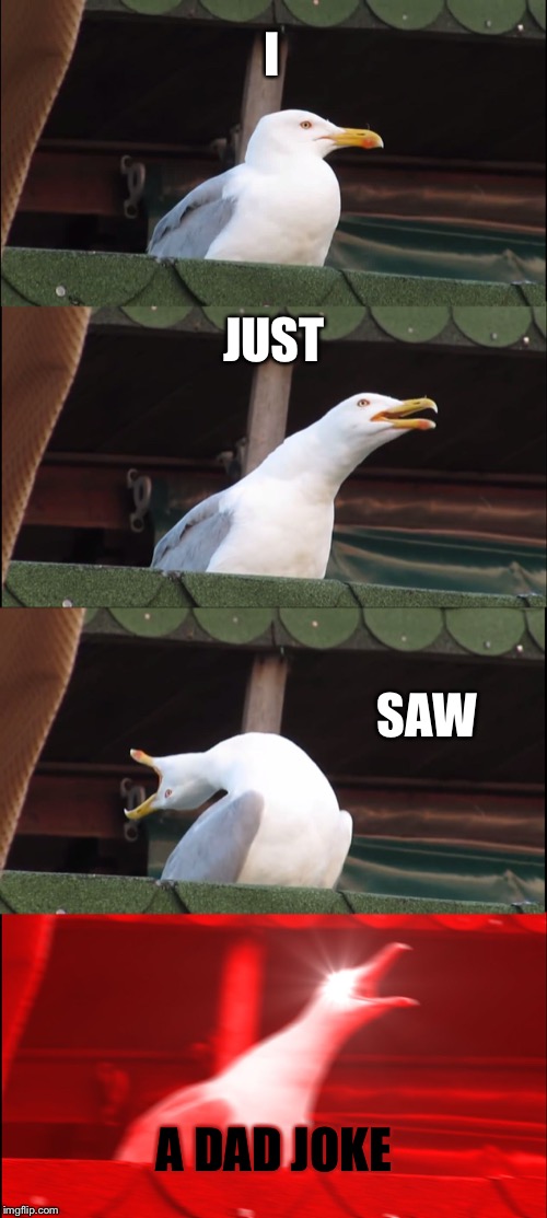 Inhaling Seagull Meme | I JUST SAW A DAD JOKE | image tagged in memes,inhaling seagull | made w/ Imgflip meme maker